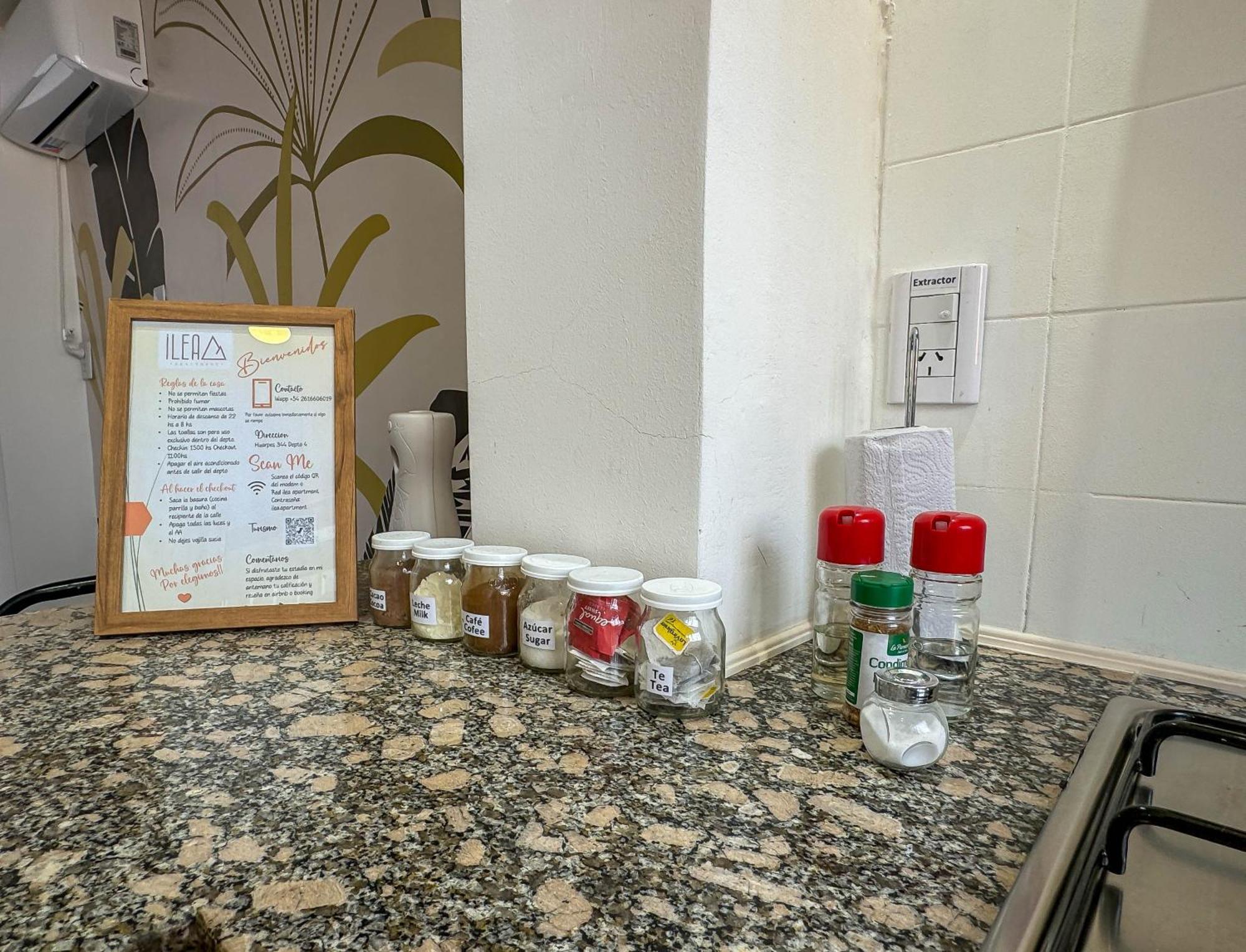 Apartment Ilea